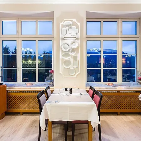 Snezka Hotel 4*
