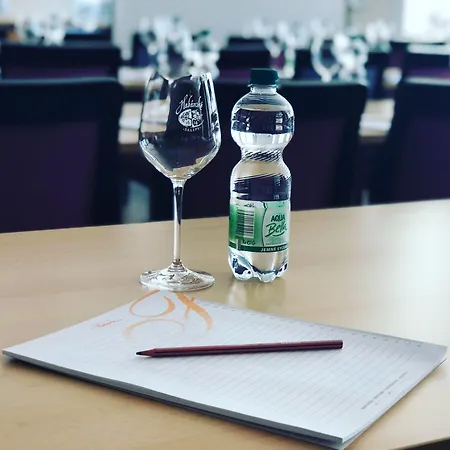 Hotel Snezka 4*