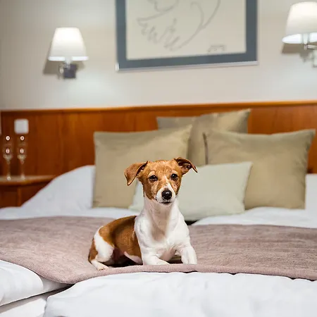 Snezka Hotel Špindlerŭv Mlýn