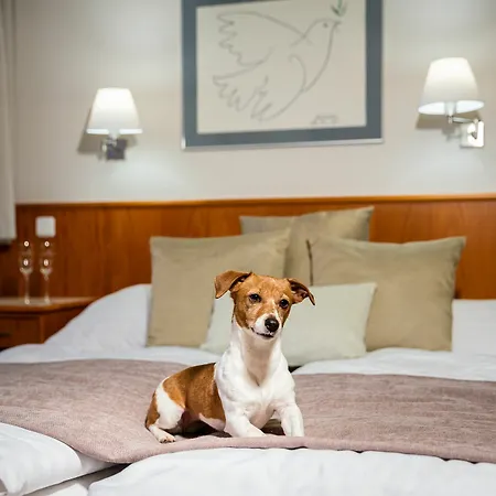 Snezka Hotel 4*