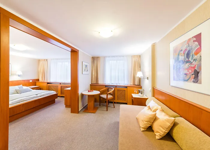 斯纳兹卡酒店 4* Špindlerŭv Mlýn