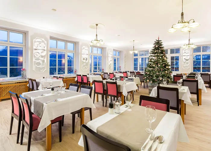 فندق Snezka Špindlerŭv Mlýn