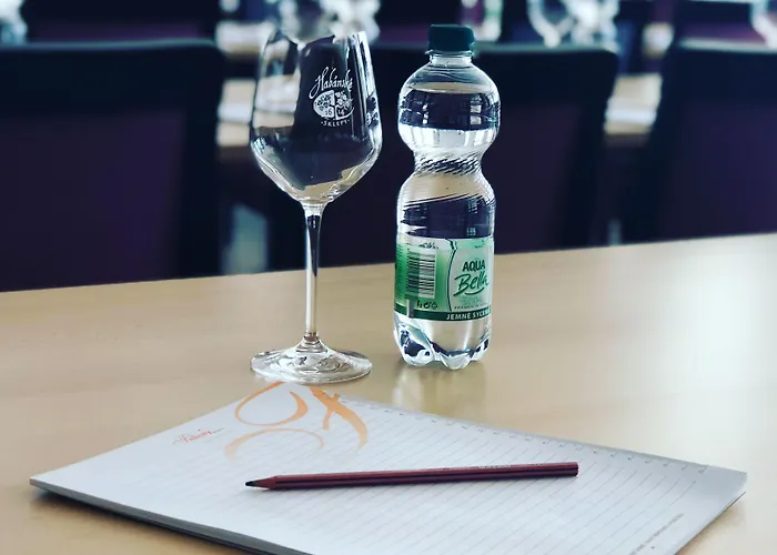 酒店 斯纳兹卡酒店 4*